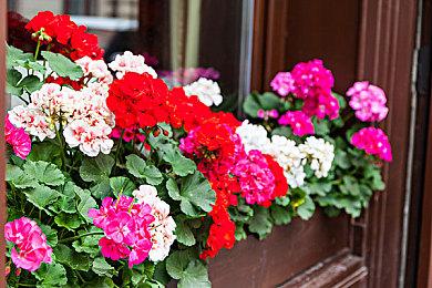 《歪小子斯科特对抗全世界》完整版Steam页面上线 1月6日发售